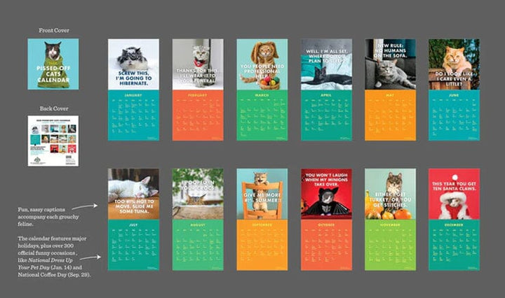Pissed-off stylish cat wall calendar, ideal for a funny 2025 decorative accent.