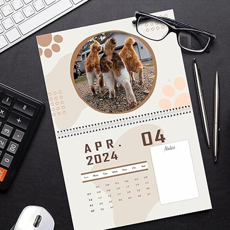 Novelty cat calendar with funny feline art, animal-themed decoration for home or office
