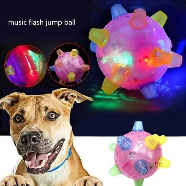 Engaging interactive bouncing activation ball, perfect for active dog playtime & puppy exercise.