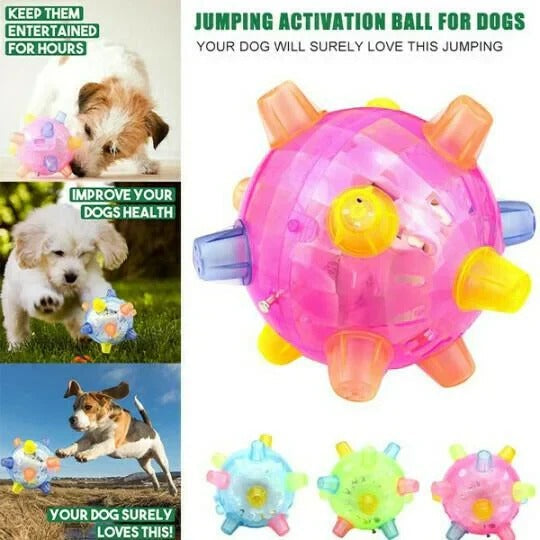 Premium interactive bouncing dog toy ball, essential pet supplies for engaging puppy & active dog playtime.