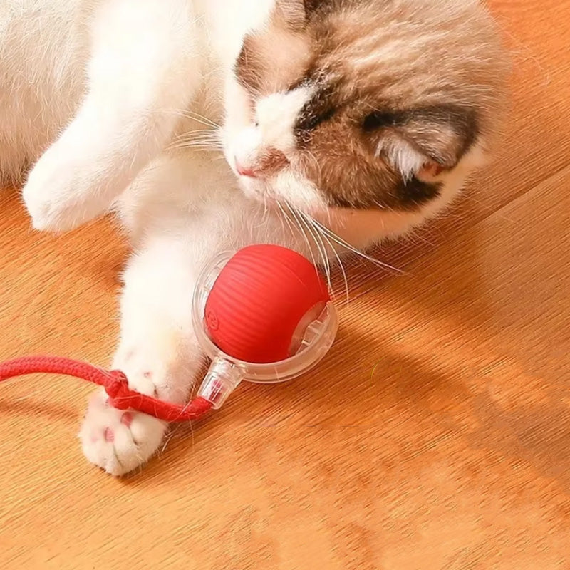 Close-up of blue Interactive Cat Play Ball, perfect cat toy for playful kittens