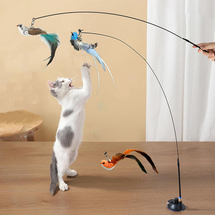 Cat toy featuring a strong suction cup connected to a flexible wand and a lifelike feathered bird.
