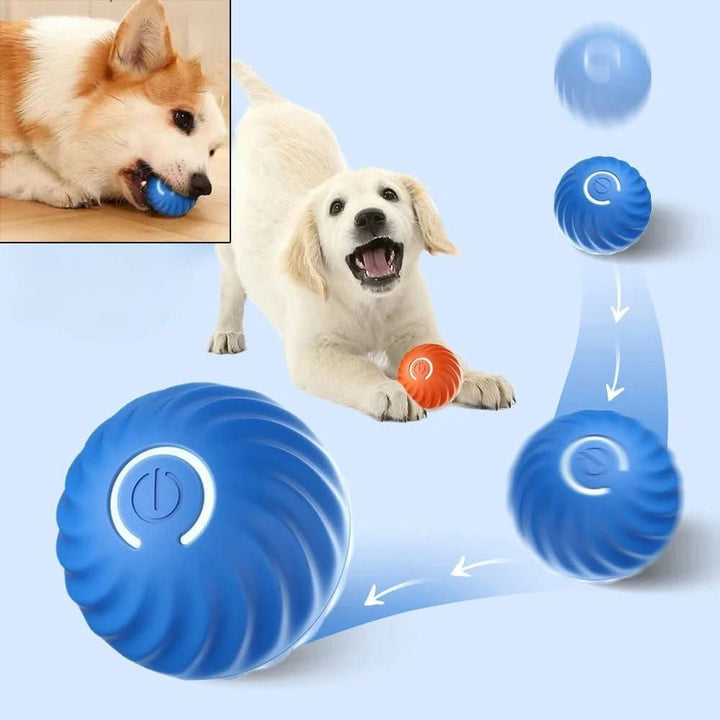 Rechargeable automatic dog toy ball, a smart gift for dogs, promoting exercise & pet enrichment.