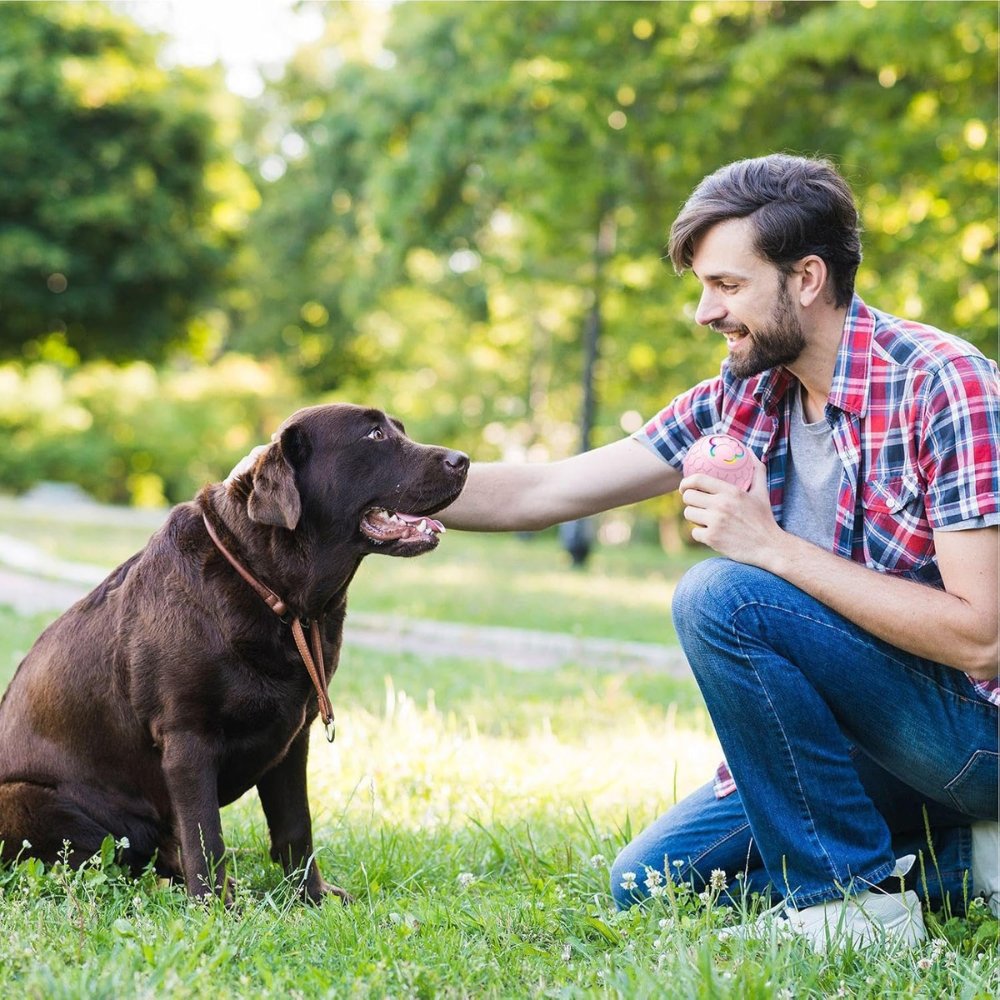 Interactive SmartBounce dog ball, great for outdoor fun & active dogs.