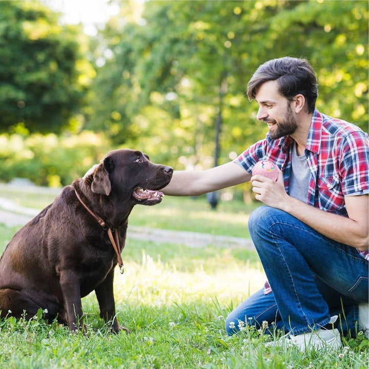Interactive SmartBounce dog ball, great for outdoor fun & active dogs.