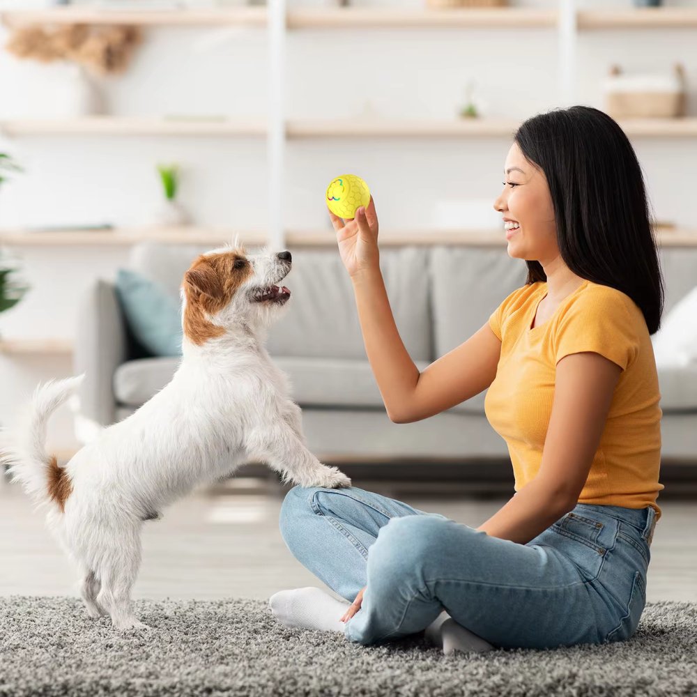 Fun SmartBounce dog toy, durable, waterproof & interactive for endless play.