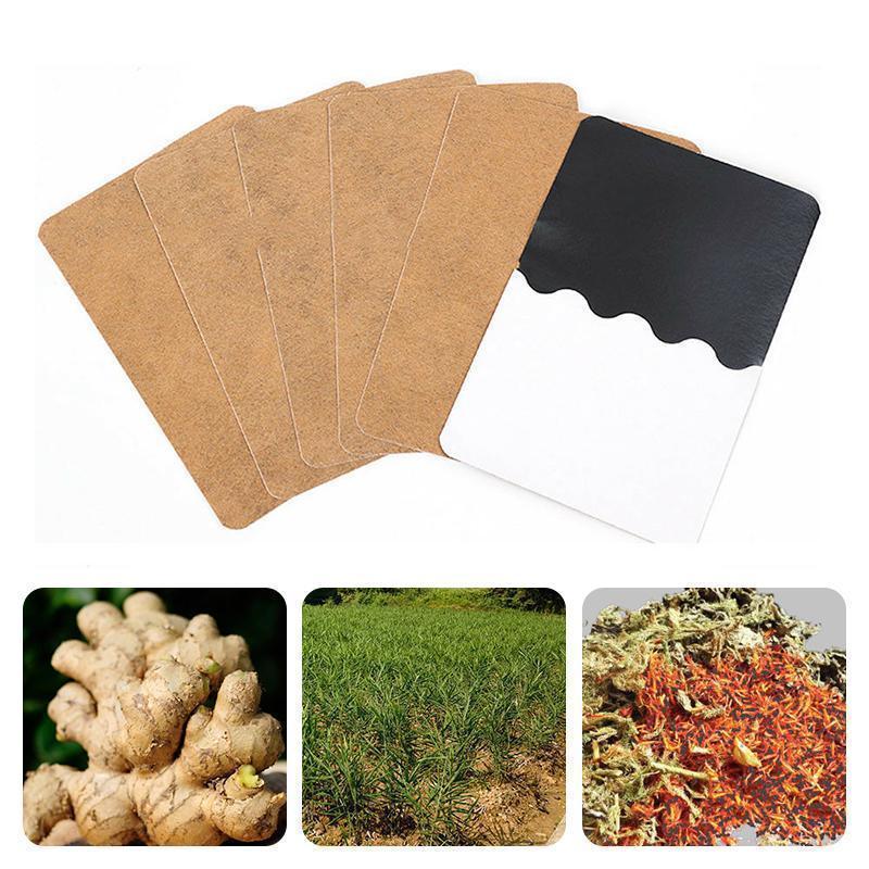 Jengibre herbal parche de alivio natural para dolores musculares y bienestar