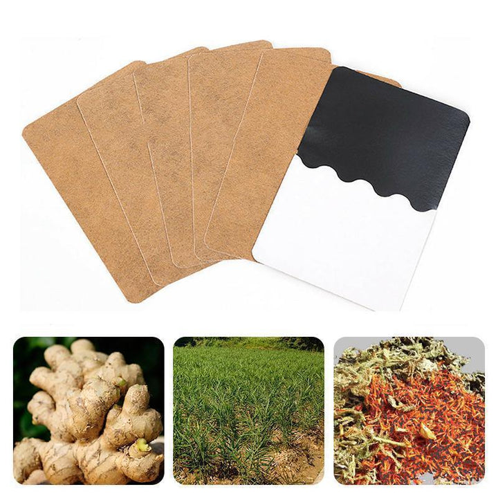 Jengibre herbal parche de alivio natural para dolores musculares y bienestar