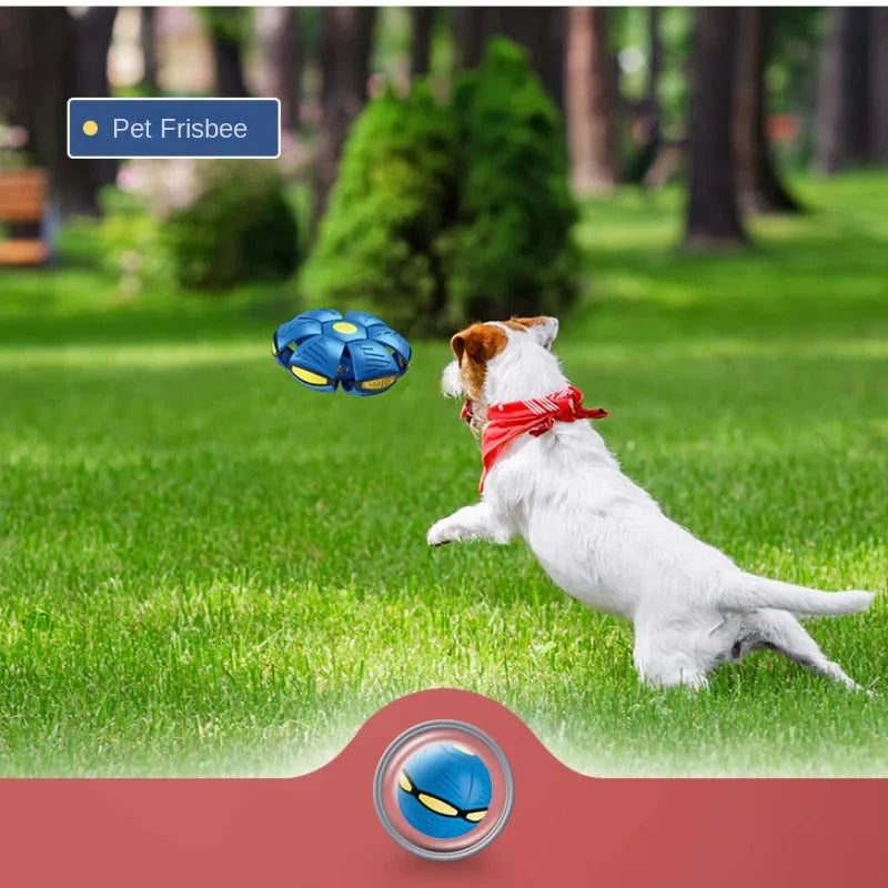 Interactive Orbexa transforming flying toy for kids, featuring vibrant lights for nighttime outdoor play.