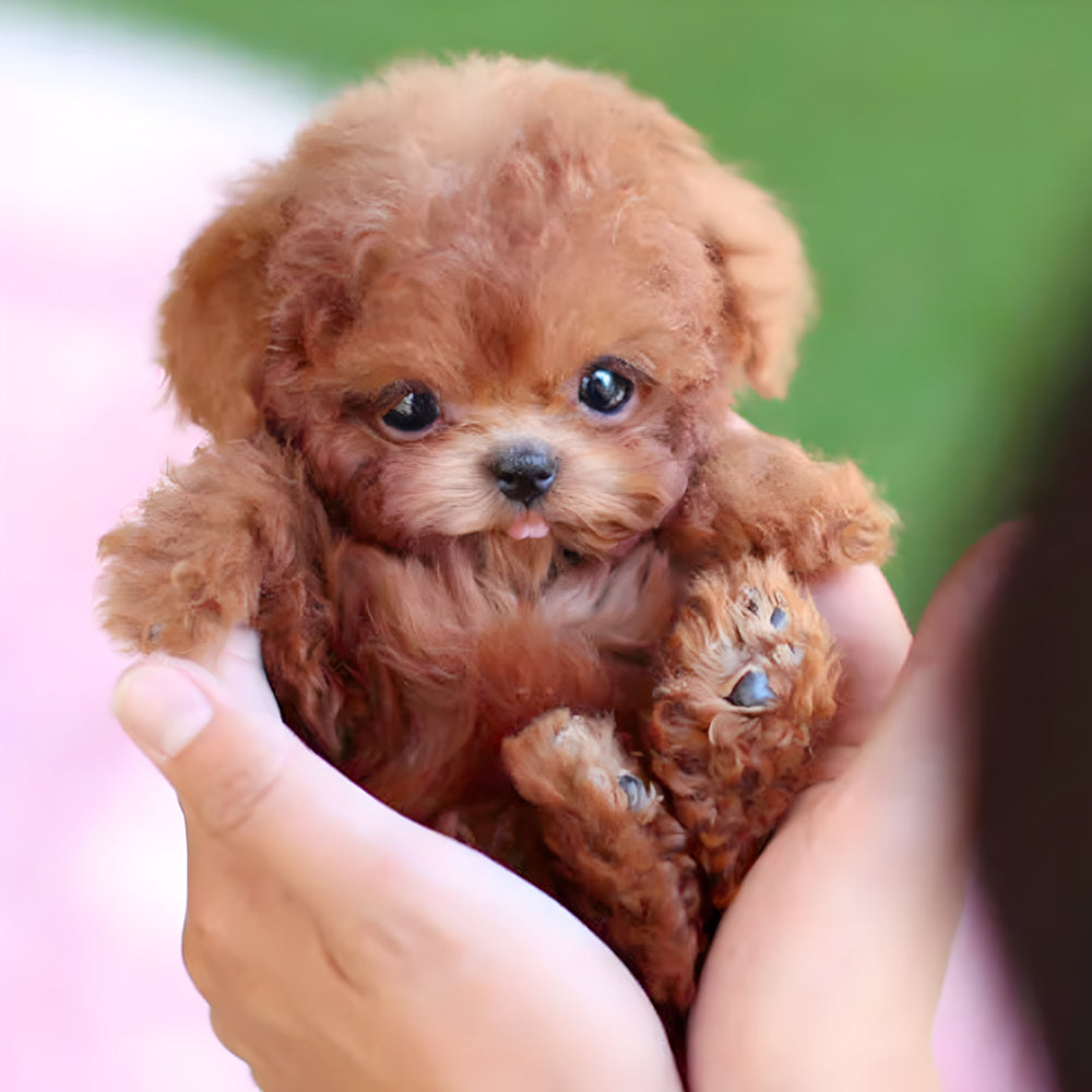 Kids' realistic puppy robot toy, interactive electronic pet, lifelike movements & sounds for fun play.