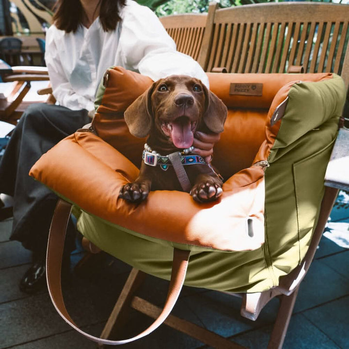 Small & medium dog car seat with safety belt, ensuring secure and comfy vehicle travel.