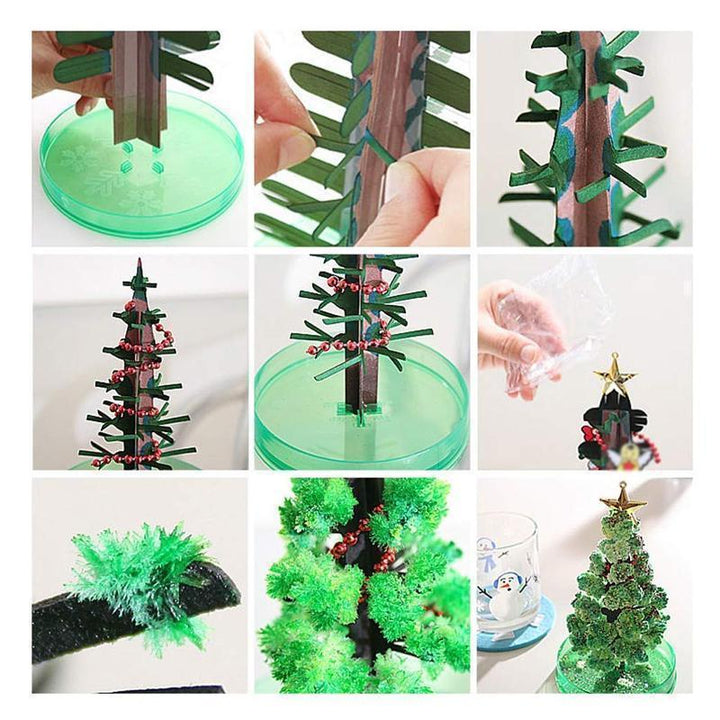 Kit contents: liquid, base, and paper tree for Magic Crystal Growing, a cool science gift