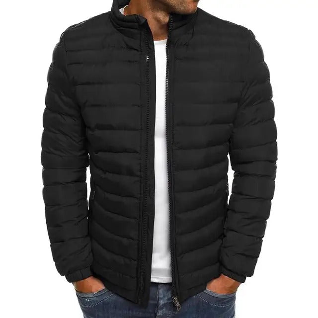 Men's casual jacket with stand-up collar, slim fit. Stylish mid-season outerwear for everyday fashion.