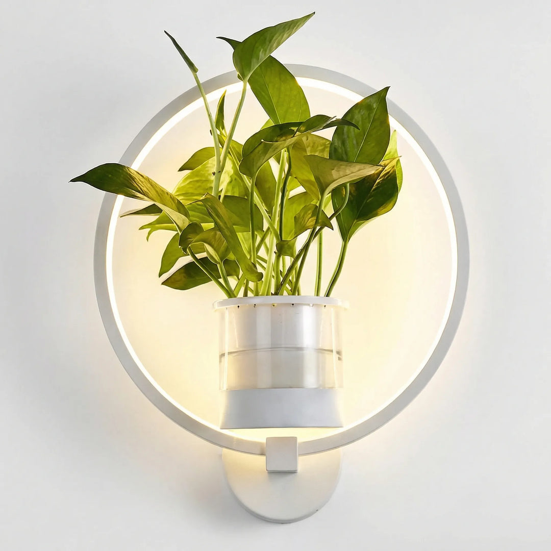 Contemporary wall plant lamp with holder, enhancing home decor with soft ambient light.