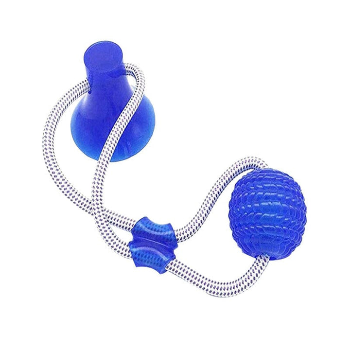 Interactive TPR dog chew toy, unique shape for gum massage, helps relieve teething pain