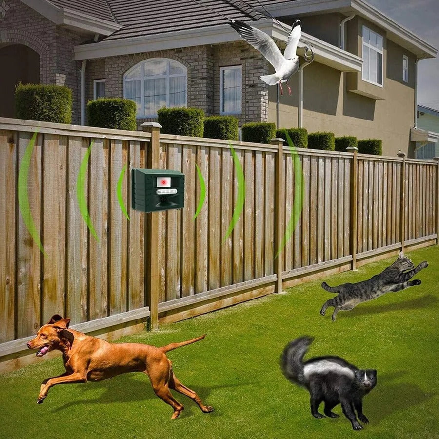 Compact solar powered bird repeller in a garden bed, safeguarding plants from unwanted bird damage.