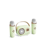 party Bluetooth Speaker--💚green / 2 Wireless Microphone