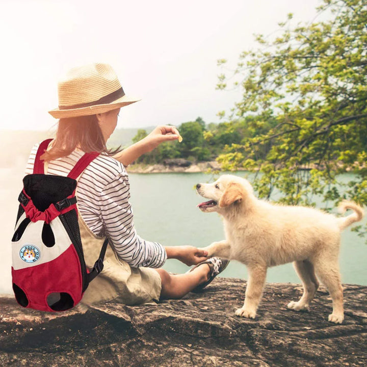 Cat travel backpack, grey fabric, clear bubble window, secure zippers for safe pet adventures