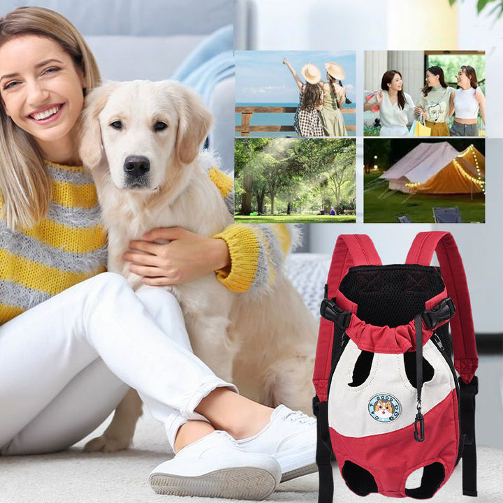 Outdoor pet gear: stylish black pet carrier backpack for cats & small dogs, convenient, portable