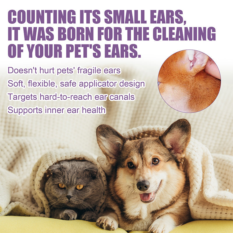 Veterinarian gently applying pet ear cleanser to a dog's ear, promoting pet hygiene