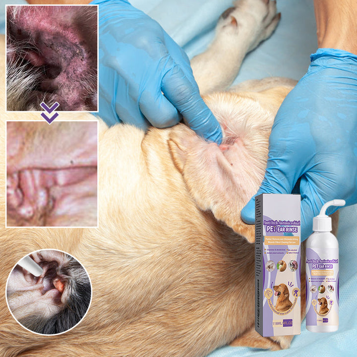 Pet ear wash being demonstrated on a model ear, showing precise application for dogs & cats