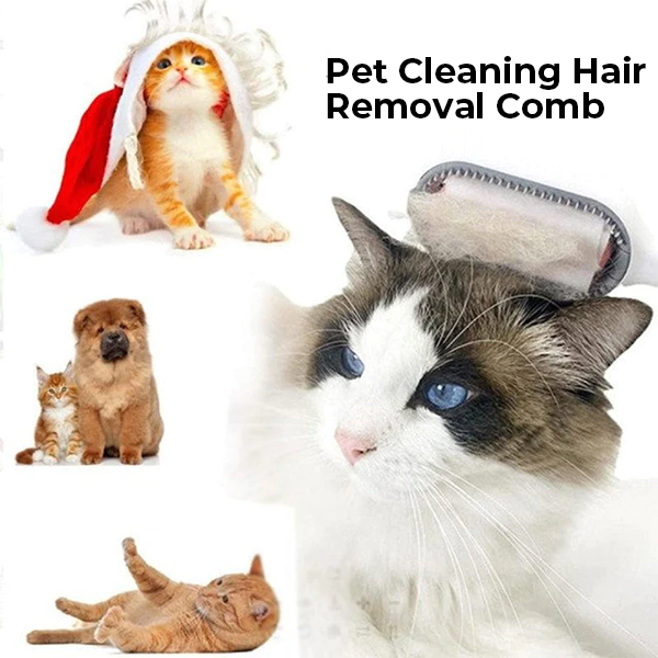 Water tank pet comb in action, demonstrating the moist grooming for hair removal and massage.
