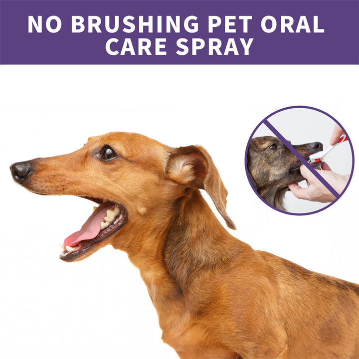 Close-up of pet oral care spray, showing fine mist. Promotes fresh breath for dogs and cats.