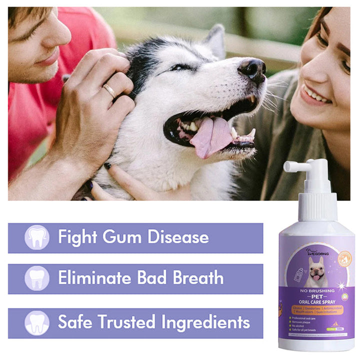 Happy dog receiving a spray of pet oral care for fresh breath, a key part of dental hygiene.