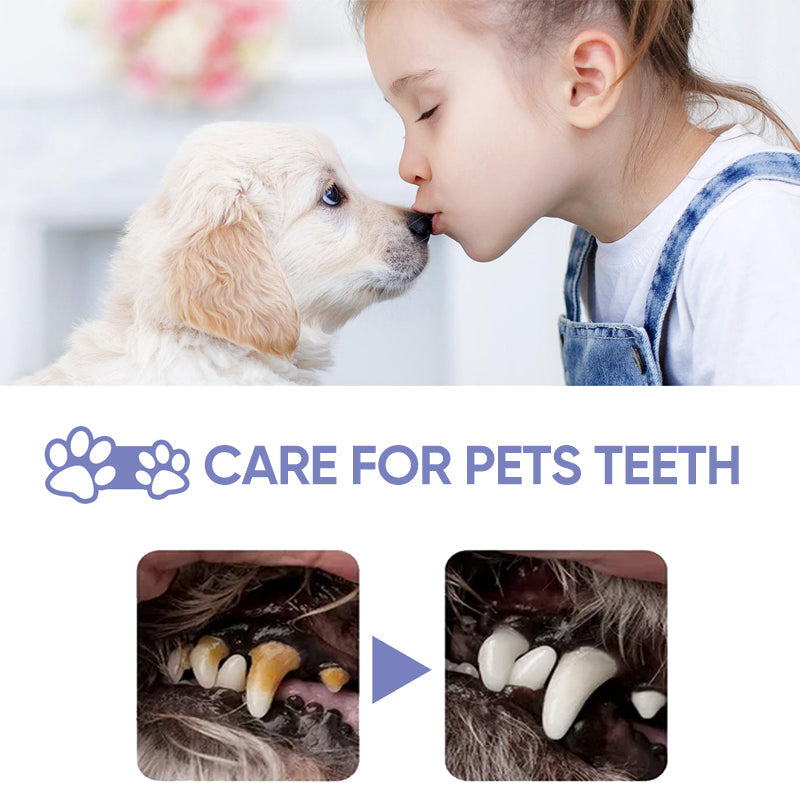 Content cat being given pet oral care spray for bad breath, ensuring good oral hygiene.
