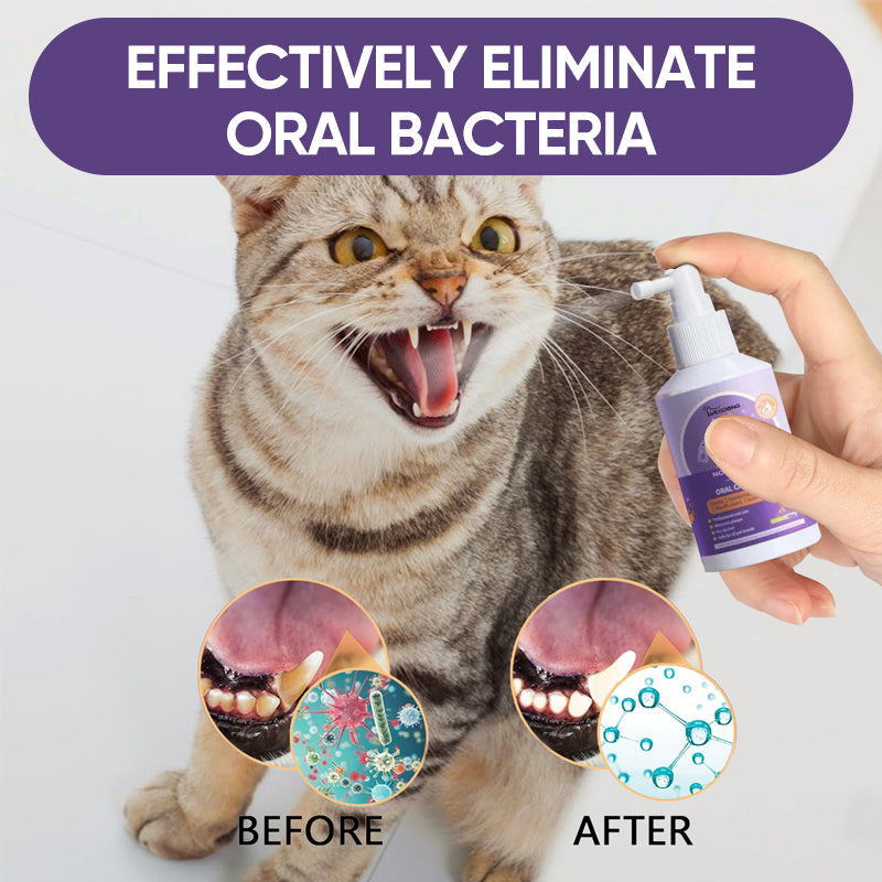 Veterinarian demonstrating pet oral care spray for dogs & cats, emphasizing dental health benefits.