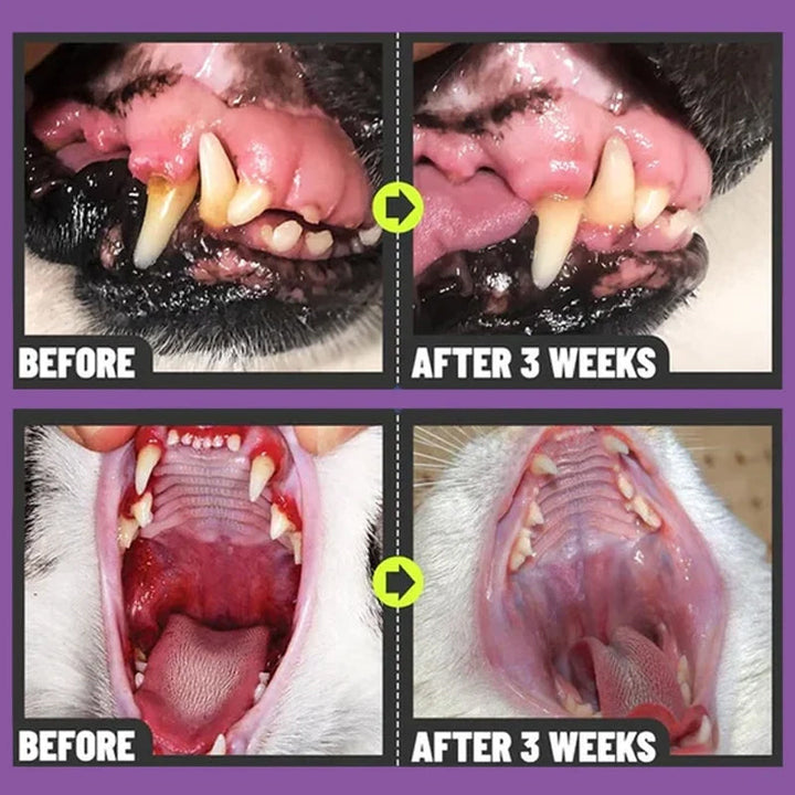 Set of two pet oral care sprays, promoting fresh breath and good oral hygiene for multiple pets.