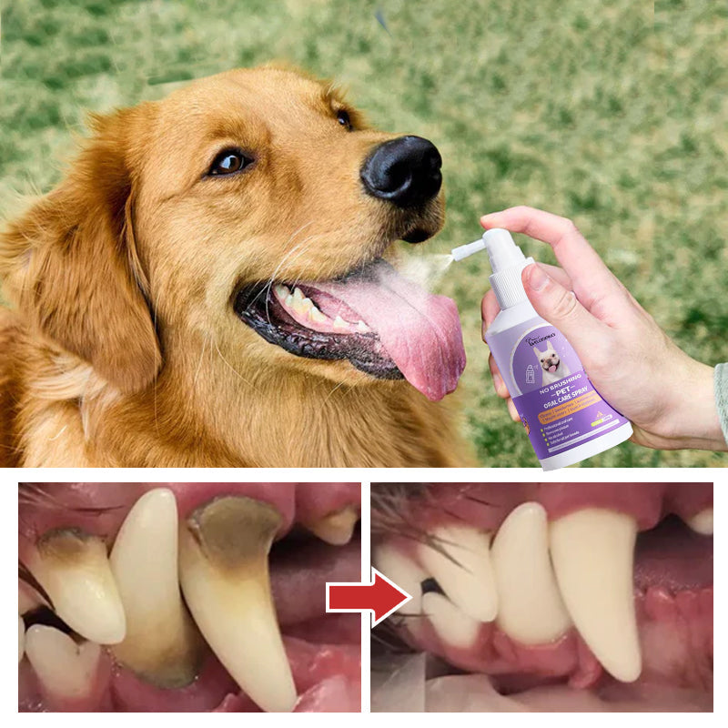 Ingredients list on pet oral care spray bottle – natural solution for fresh dog & cat breath.