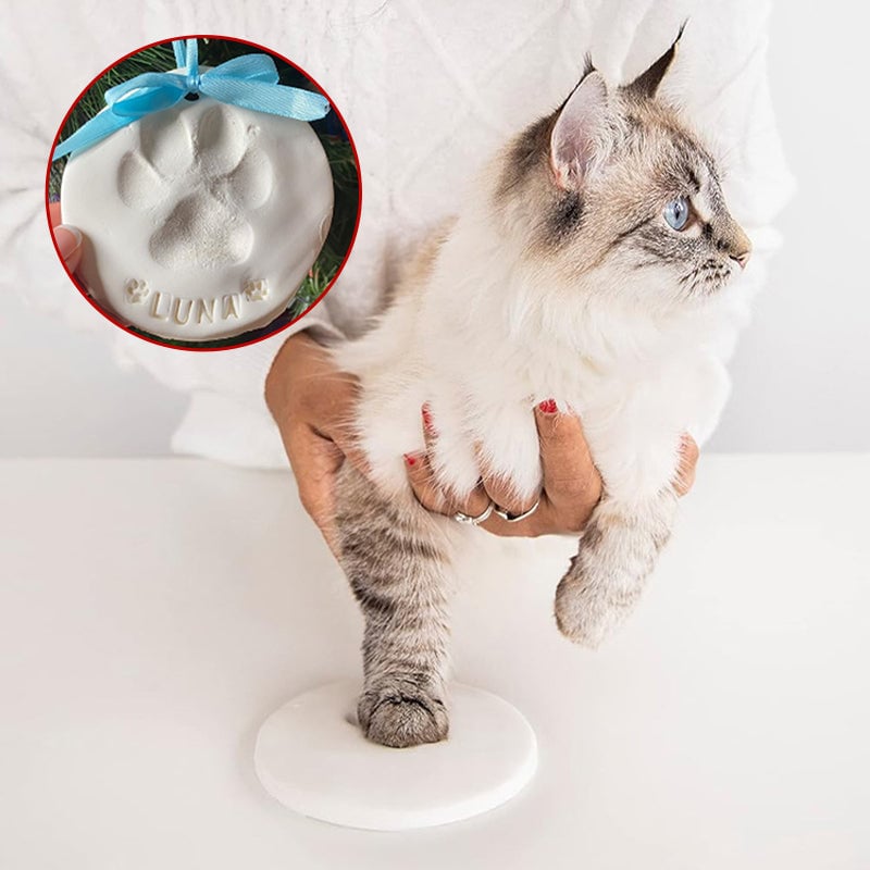 Completed pet paw print impression from DIY kit, a lasting dog or cat memorial keepsake