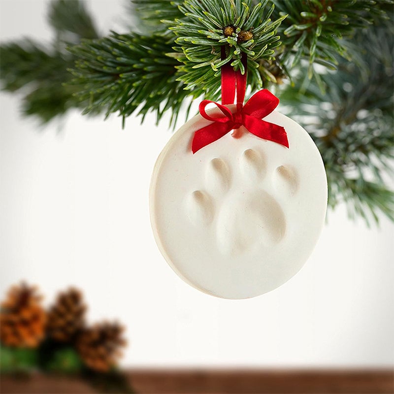 Happy pet owner holding up a freshly made paw impression from the keepsake craft kit