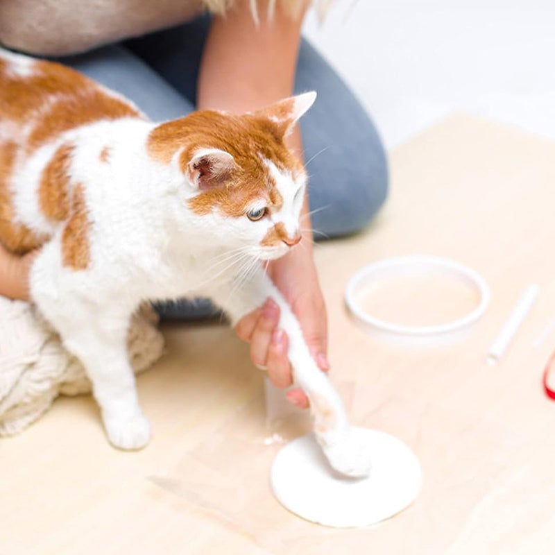 Packaging of the pet paw impression kit, highlighting 'Easy DIY & Non-Toxic Clay'