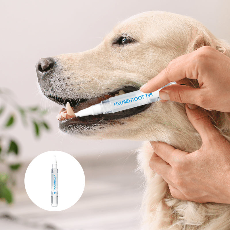 Close-up of pet toothbrush pen, highlighting the gentle bristles for effective dog & cat dental cleaning.