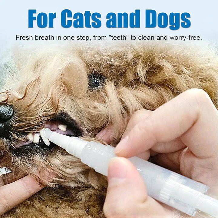 Cat calmly having its teeth brushed with the pet toothbrush pen, ensuring good dental health.