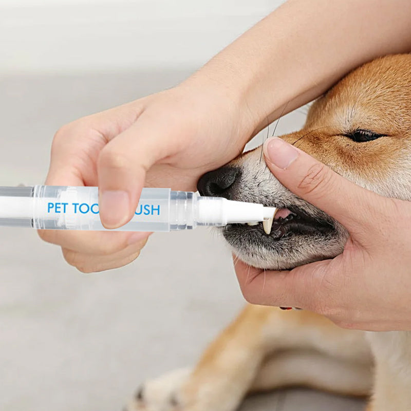 Pet toothbrush pen with a cap on, ready for storage and travel, an essential pet supply.