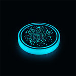 Full Moon Starry Sky