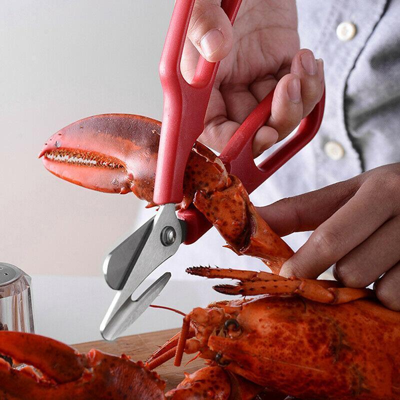 Durable seafood shears with red handle, ideal for opening shellfish, essential kitchen tool