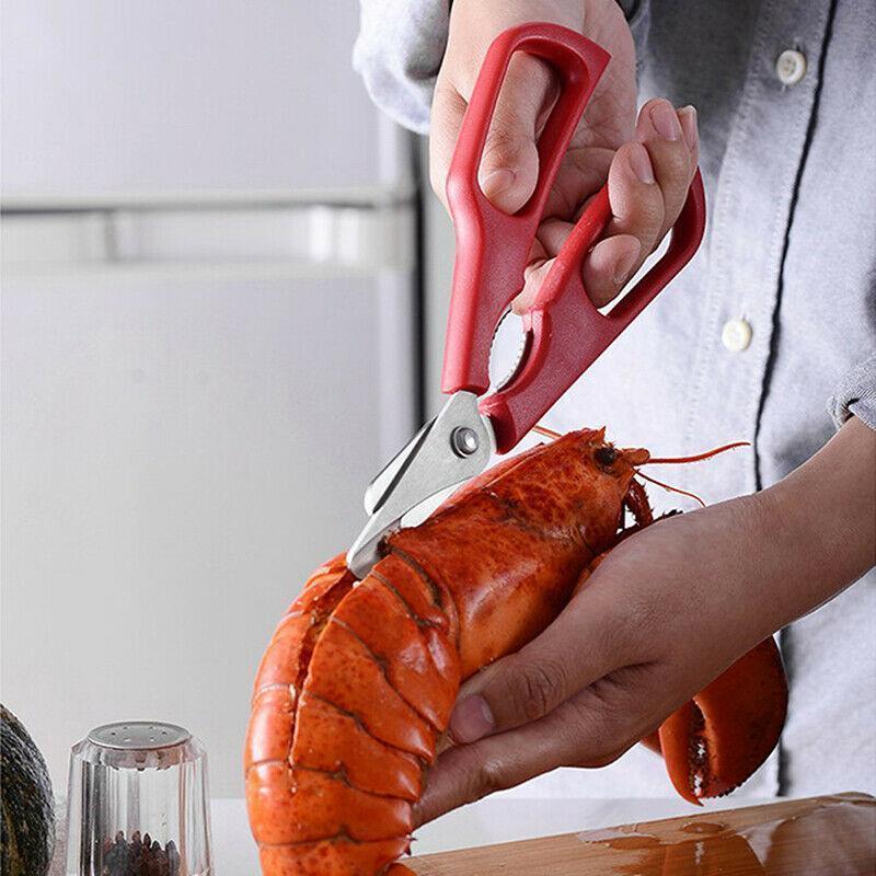 Stainless steel crab cracker and lobster shear with ergonomic red handles for easy grip