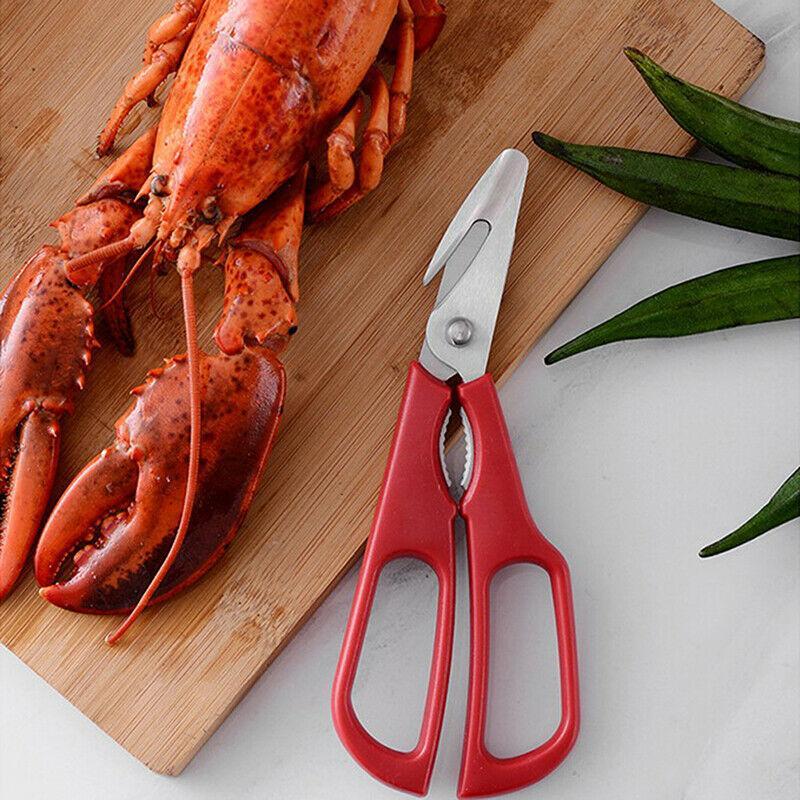 Close-up of red kitchen seafood shears showing sharp stainless steel blades, shellfish opener