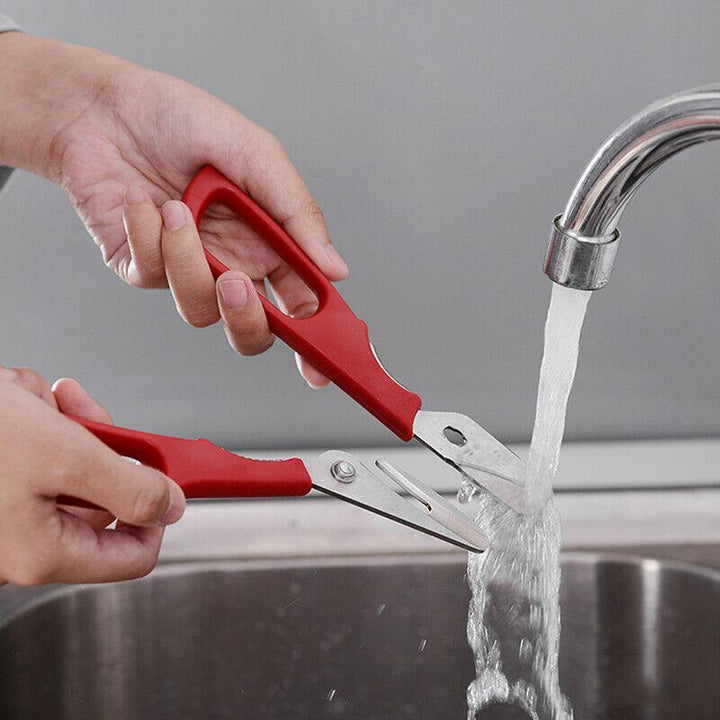 Versatile red kitchen seafood shears, perfect for preparing crab and lobster, cooking utensil