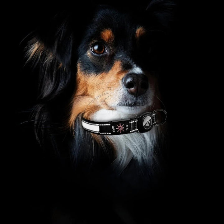 Night safety dog collar: LED, reflective, with AirTag tracker pouch for small, medium & large dogs.