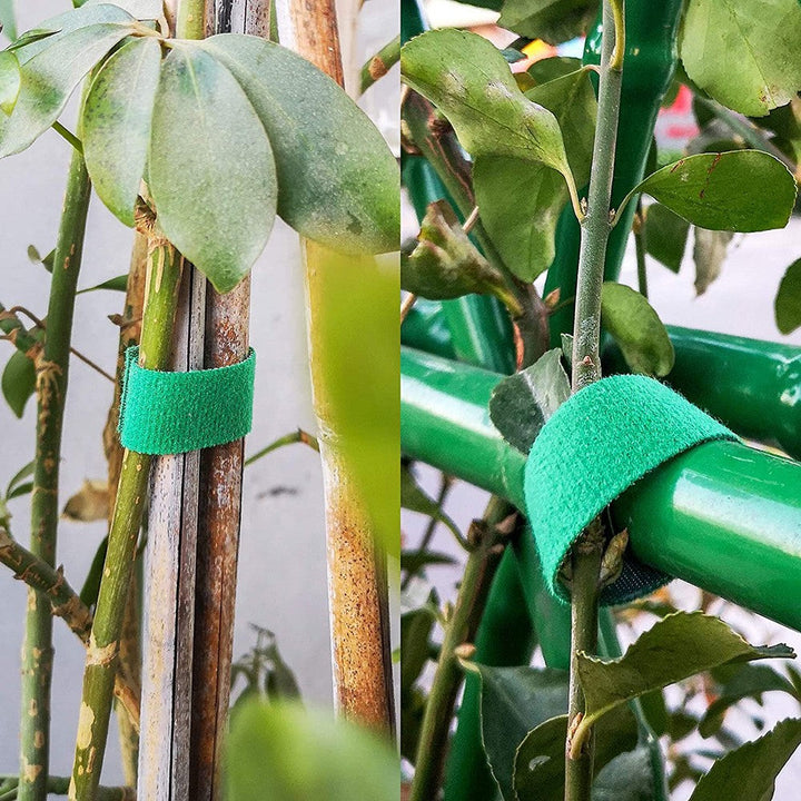 Brightly colored reusable cable ties, making cord management fun and organized.