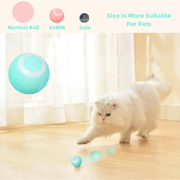 Cat batting and chasing the interactive smart ball toy, demonstrating its engaging features.
