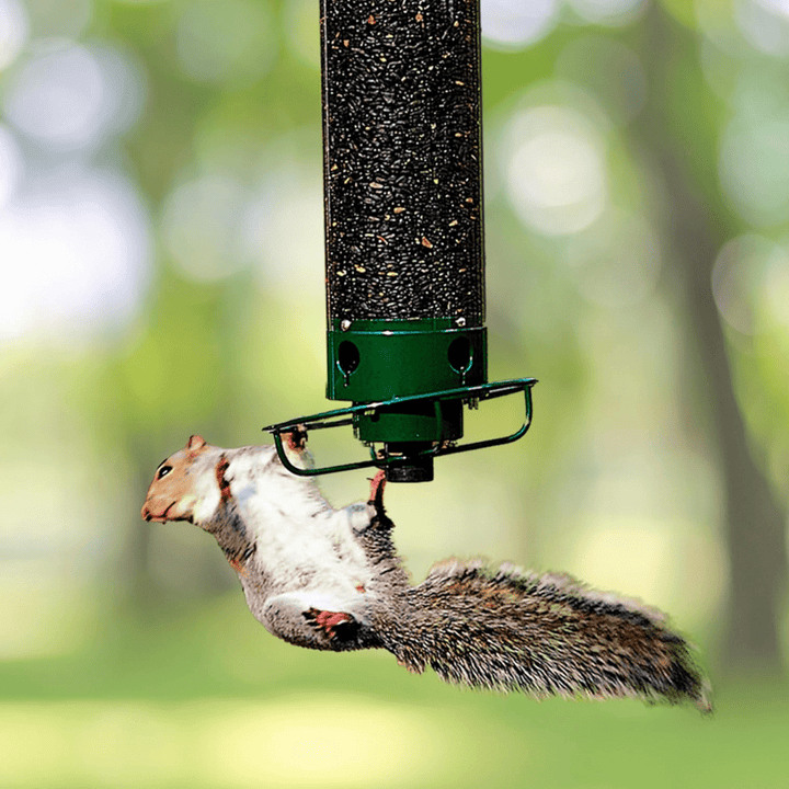 Squirrel-proof birdhouse with rotating perch for garden birds. Durable, weatherproof hanging feeder, perfect for outdoor birding.