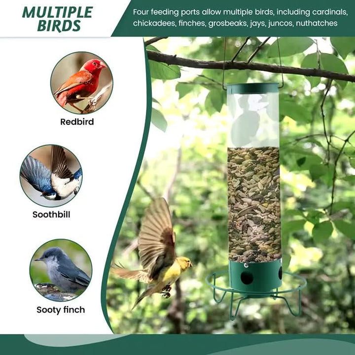 Secure, wildlife-friendly squirrel-proof bird feeder. Durable, weatherproof garden decor birdhouse with rotating perch.