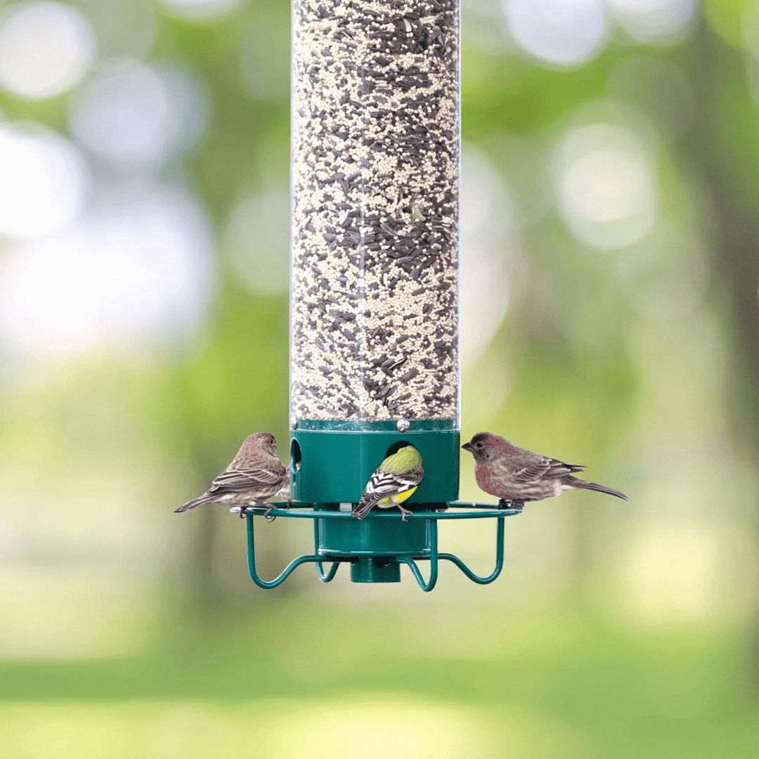 Easy-to-hang squirrel-proof birdhouse for garden birds, features a protective rotating perch. Durable & wildlife friendly.