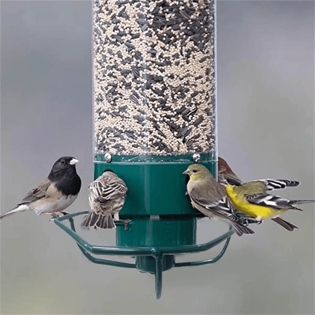 Premium squirrel-proof birdhouse & feeder for garden birds; weatherproof, durable, outdoor friendly, with rotating perch.